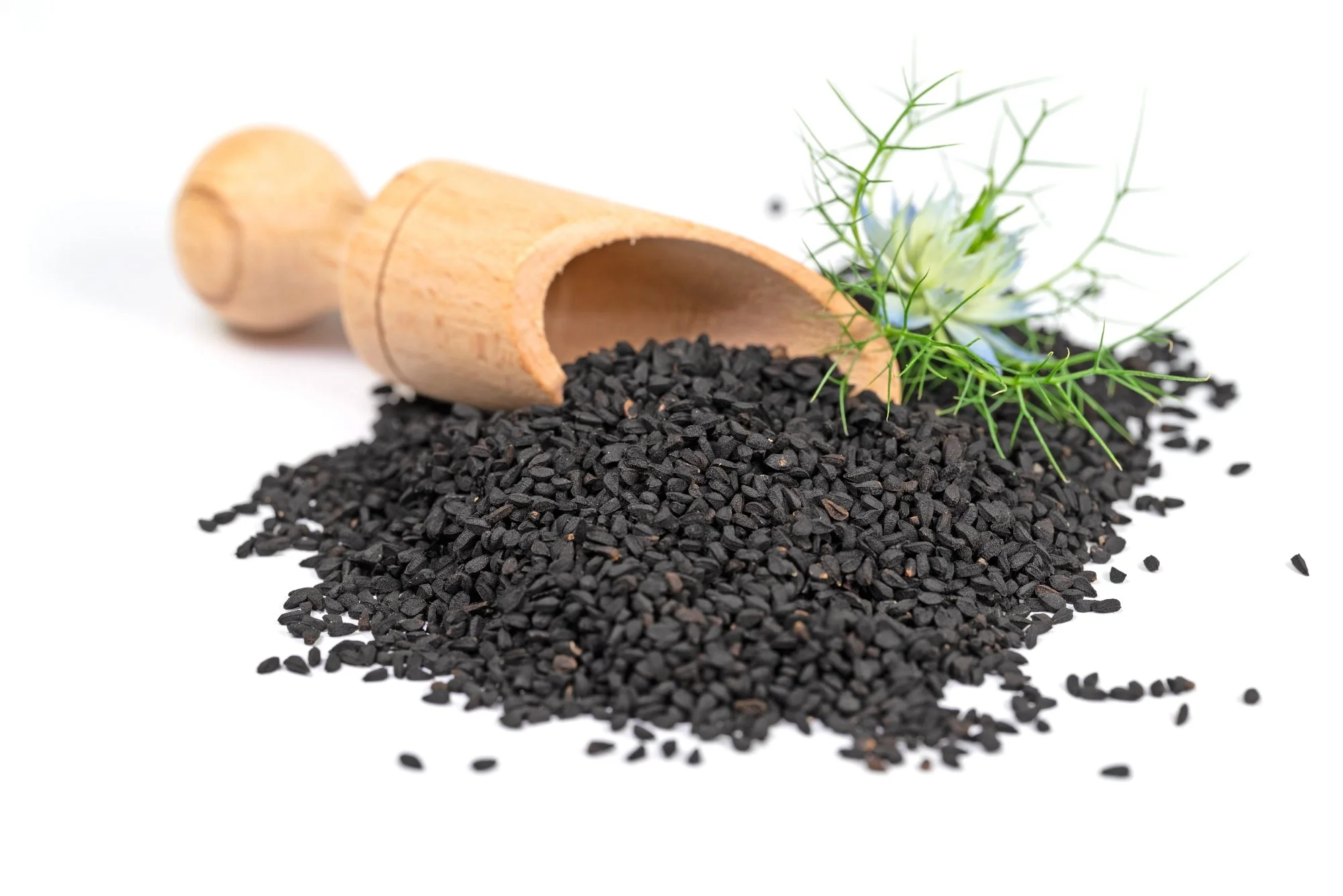 Blackseed — natuurlijke ontstekingsremmer