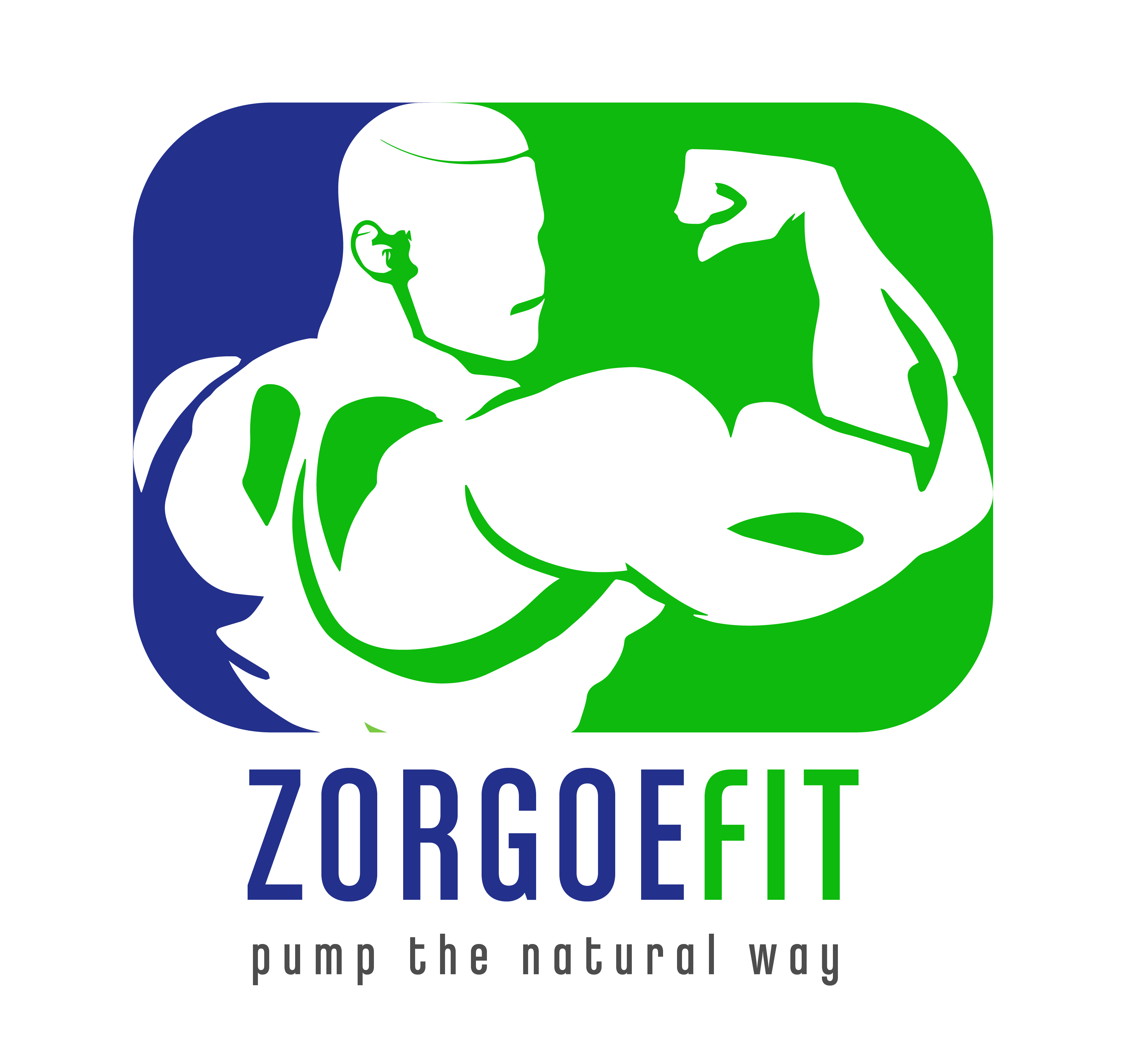 ZORGOEFIT logo